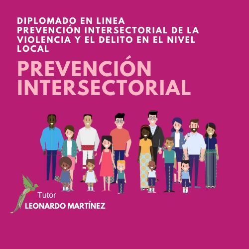 Diplomado en Prevención Intersectorial de la Violencia y el Delito en el Nivel Local